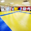 골든킥태권도 이미지