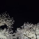 연화지 이미지