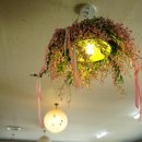 육남매별빛촌 이미지