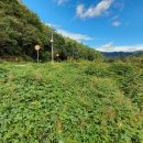 준형농장 이미지