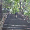한양카 | [서울 여행] 낮에 다시 찾은 남산타워와 케이블카, 조금은 아쉬웠던 솔직 후기
