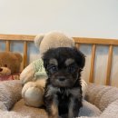 연제구-045 이미지