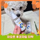 오르헬스케어 네이버블로그