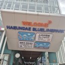 팔도통닭 | 당일 예약 &amp; 경로 추천) > 최고수변국밥 > 해동용궁사 > 해광사 > 센텀 스파랜드 > 팔도 통닭 솔직 후기