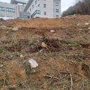 참 웰빙 임업 이미지