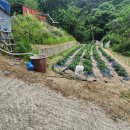 김동석농가 이미지