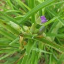 행정용 8 이미지