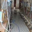 일출목장 이미지