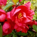 유정천리 이미지