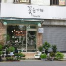 꽃눈개비플라워
