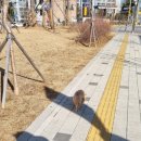 별난본감자탕 이미지