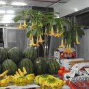 이천청과 이미지