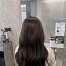 성수현대서비스 | 성수동 미용실 샵위드 성수 봄웜라 초코브라운 염색 후기!