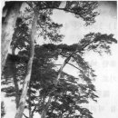 청량리25 이미지