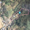 만평부동산중개사무소 이미지