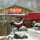 탑골가든 - 홍천군 팔봉산로 1241 | 탑골가든