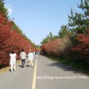 송하농장 이미지