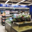 피쉬마트수족관 이미지