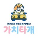 ［롱런］펫시터 양성과정 | 은평 반려동물 전문인력 양성사업 2기, 3주차 후기