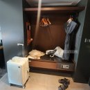 스텔라이호텔 | 호텔숙박후기, 메종글래드 사우나후기(제주숙소추천, 제주호캉스후기, 메종글래드수영장, 삼다정후기)