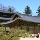 금수만당마을 이미지