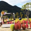 양산체육공원 이미지