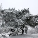 예산-09 이미지