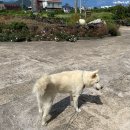 우도보건지소 이미지