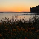 368 | [D-368]헤어변형 예약 후기