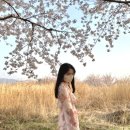 덕풍천서로 이미지