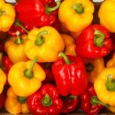 제이앤팜 이미지