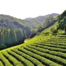 문화여관 이미지