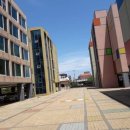 표선면-5 이미지