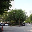 서부간선로 교통섬 이미지