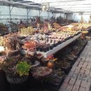 초월농장 이미지