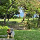 원주굽이길 13코스 구학산둘레숲길 이미지