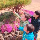 참유치원 이미지