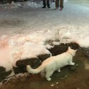 스튜디오오와오와