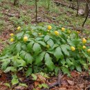 봄날펜션 이미지