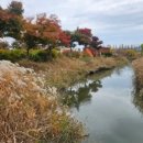 노을빛 정원 이미지