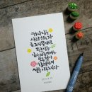 선캘리