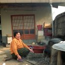 윗자모리 이미지