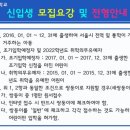 매원초등학교 이미지