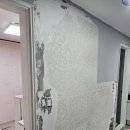 현대성우 | 울산도배 시공후기 - 호계 성우현대아파트, 신천동 도배 (울산행복도배)