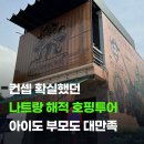 행복한 해적 | 나트랑 해적 호핑투어 7살 아이와 예약 후기 총정리