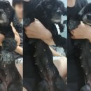 24시 굿케어동물의료센터 이미지