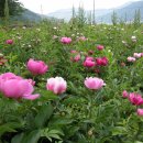 토종농장 이미지