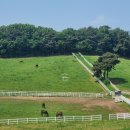 덕양목장2 이미지