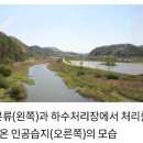 상림천 Daum카페