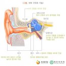 손권희난청지원센터